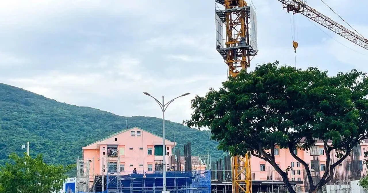 Công trường The Camellia Sơn Trà tháng 7/2026, cần cẩu tháp và cột bê tông thi công phần thân, phía sau là núi Sơn Trà