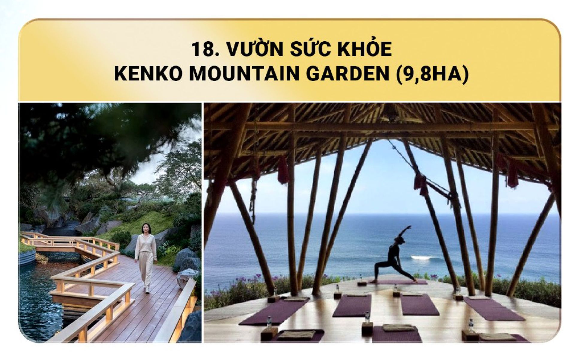 Vườn sức khỏe